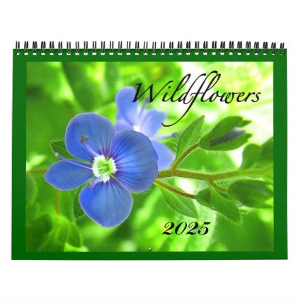 Wildflowers 2025 Calendar