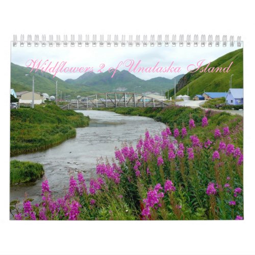 Wildflowers 2 of Unalaska Island Calendar
