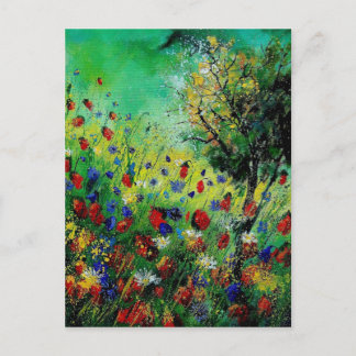 wildflowers 670130 postcard