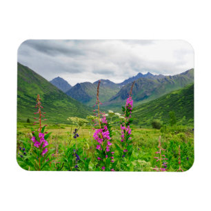 Wildflowers Alaskan Valley Magnet