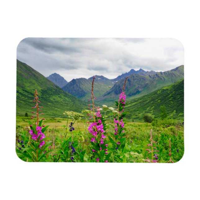 Wildflowers Alaskan Valley Magnet (Horizontal)
