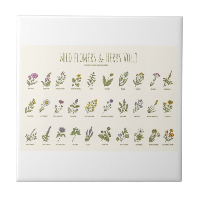 Wildflowers and Herbs Ceramic Tile (Front)