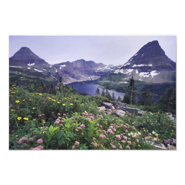 Wildflowers and Hidden Lake, Shrubby Photo Print (Front)