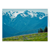 Wildflowers and Mountains (Front Horizontal)