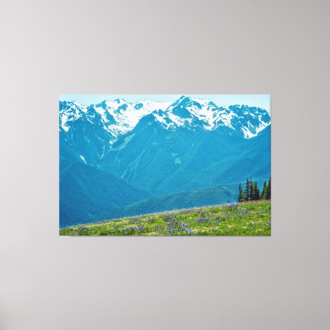 Wildflowers and Mountains Canvas Print (Front)