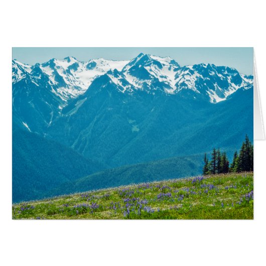 Wildflowers and Mountains Cards (Front Horizontal)