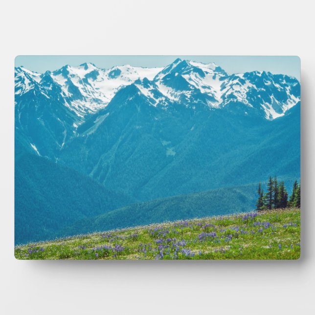 Wildflowers and Mountains Plaque (Front)