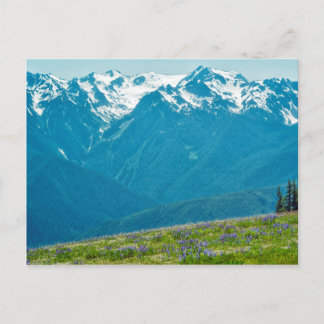 Wildflowers and Mountains Postcard
