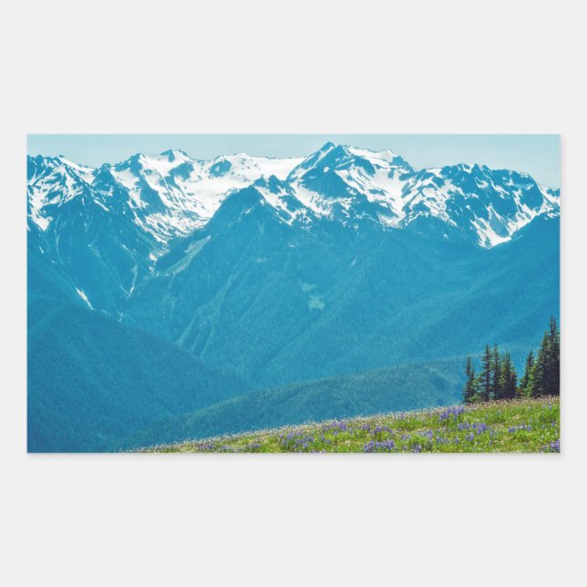Wildflowers and Mountains Rectangular Sticker (Front)