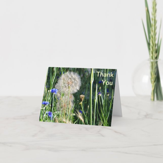 Wildflowers and Puffball, Thank You (Front)