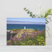 Wildflowers and Yaquina (Standing Front)