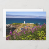 Wildflowers and Yaquina (Front/Back)