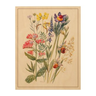 Wildflowers Antique Watercolor Wood Wall Art