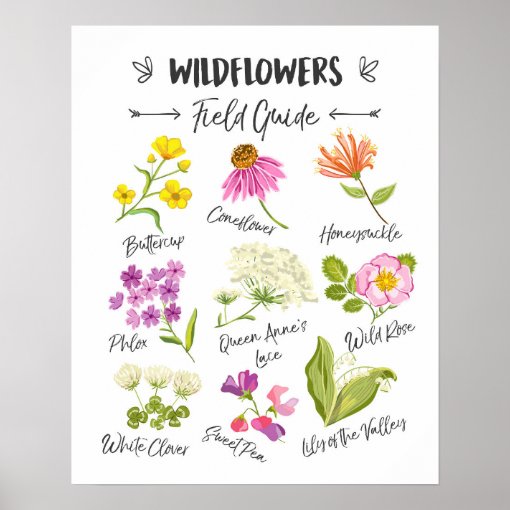 Wildflowers art Wild flowers poster wall nursery Zazzle
