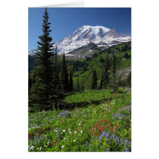 Wildflowers at Mount Rainier Cards (Front)