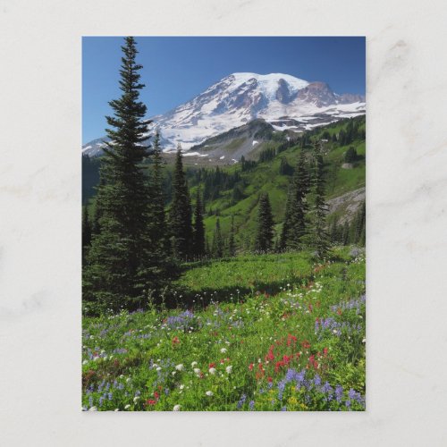Wildflowers at Mount Rainier Postcard
