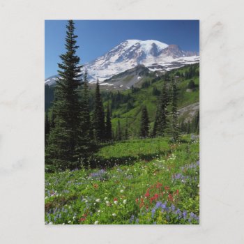 Wildflowers At Mount Rainier Postcard by usmountains at Zazzle