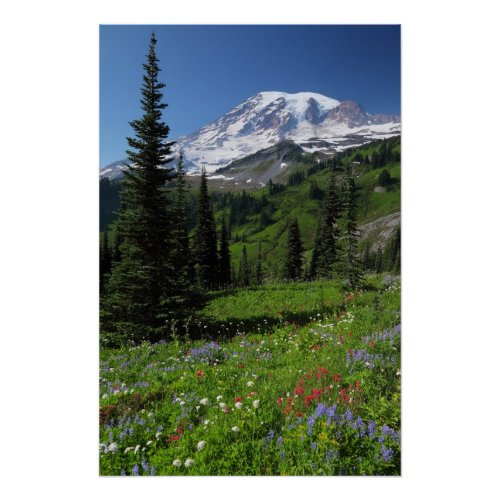 Wildflowers at Mount Rainier Poster