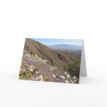 Wildflowers at Saguaro National Park I Card