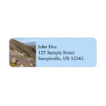 Wildflowers at Saguaro National Park I Label