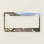 Wildflowers at Saguaro National Park I License Plate Frame