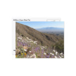 Wildflowers at Saguaro National Park I Postcard