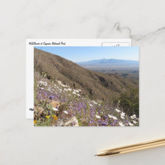 Wildflowers at Saguaro National Park I Postcard
