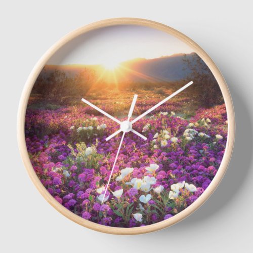 Wildflowers at sunset  Anza_Borrego Desert Clock