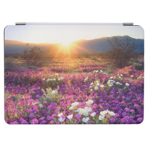 Wildflowers at sunset  Anza_Borrego Desert iPad Air Cover