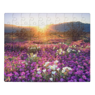 Wildflowers at sunset Anza-Borrego Desert Jigsaw Puzzle