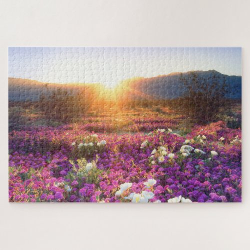 Wildflowers at sunset  Anza_Borrego Desert Jigsaw Puzzle
