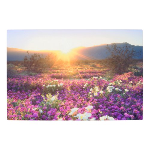 Wildflowers at sunset  Anza_Borrego Desert Metal Print