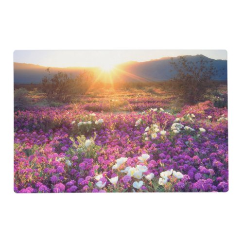 Wildflowers at sunset  Anza_Borrego Desert Placemat