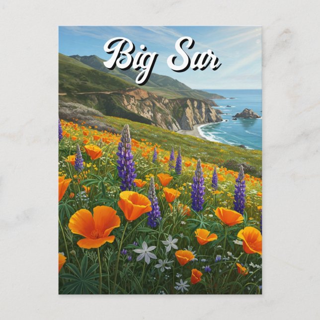 Wildflowers Big Sur California Travel Postcard (Front)