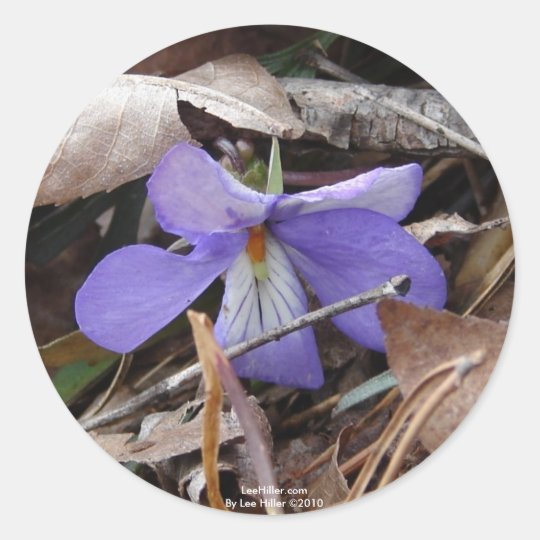 WildFlowers Birds-Foot Violet Hot Springs AR Gifts Classic Round Sticker