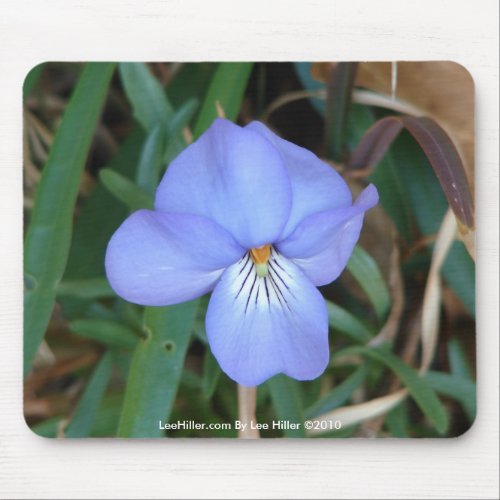 WildFlowers Birds_Foot Violet IV Hot Springs Gifts Mouse Pad