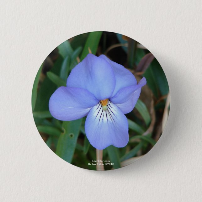 WildFlowers Birds-Foot Violet IV Hot Springs Gifts Pinback Button (Front)