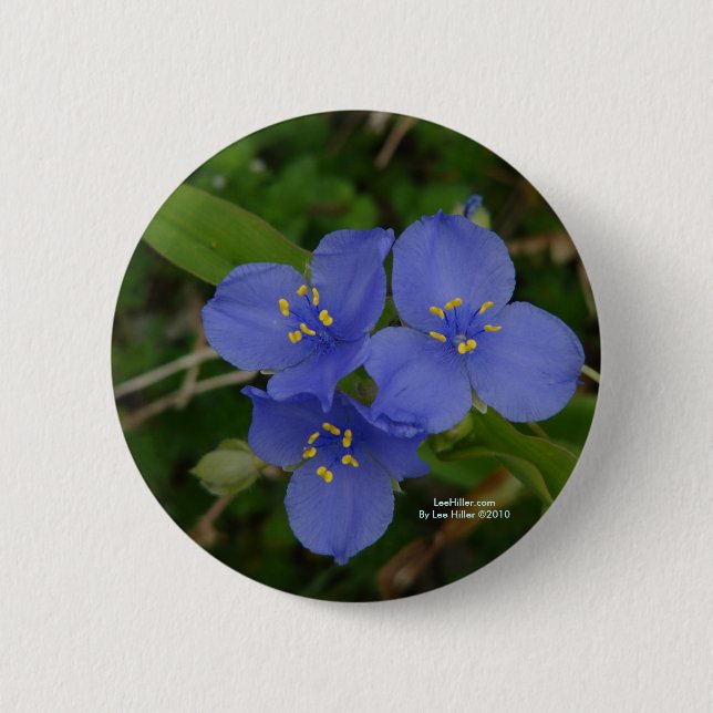 Wildflowers Blue Spiderwort Hot Springs AR Gifts Pinback Button (Front)