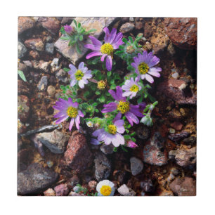 Wildflowers Ceramic Tile