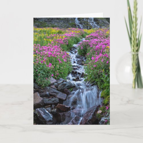 Wildflowers Clements Mountain Montana Card
