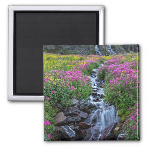 Wildflowers Clements Mountain Montana Magnet