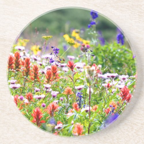 Wildflowers Coaster