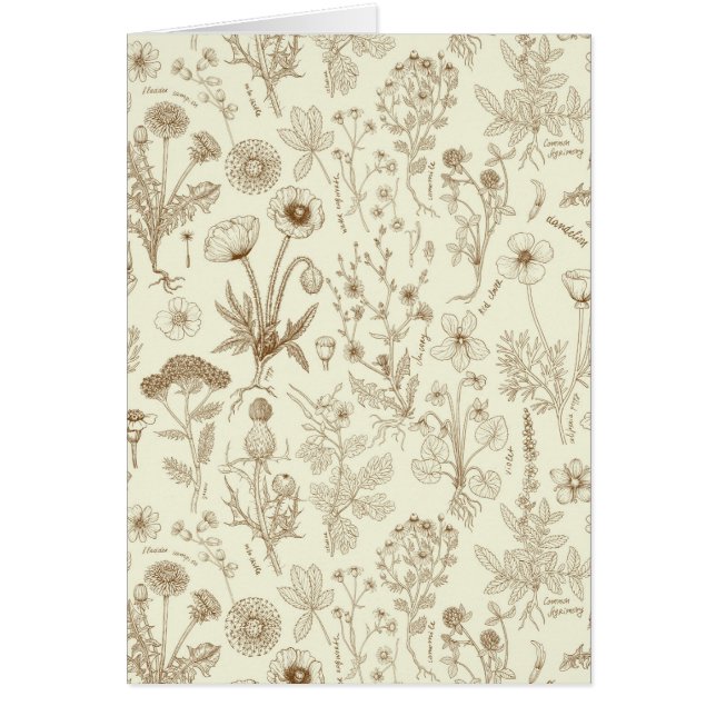 Wildflowers collage/ beige and sepia cards (Front)