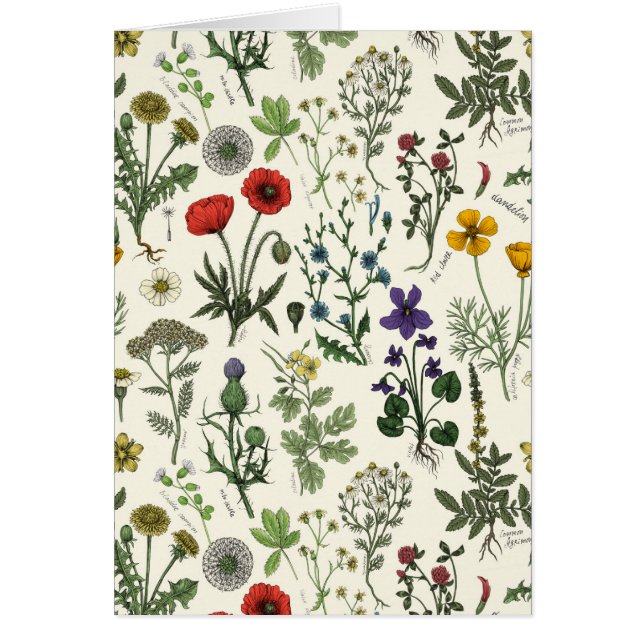 Wildflowers collage cards (Front)