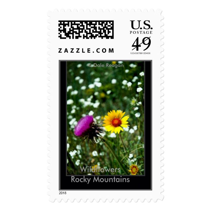 Wildflowers   Estes Park, Co, USA. Postage Stamp