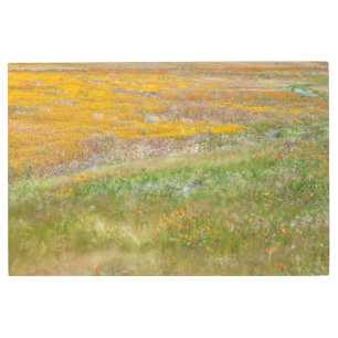 Wildflowers Field Metal Print