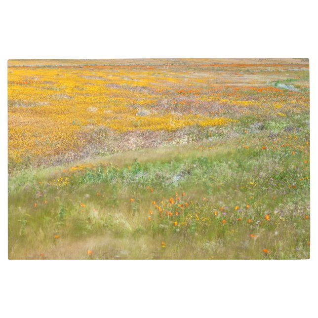 Wildflowers Field Metal Print (Front)