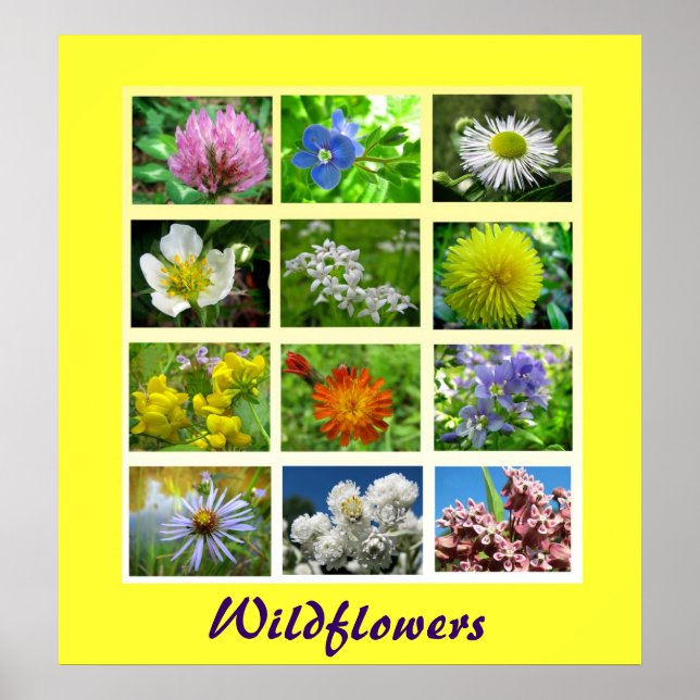 Wildflowers Floral Nature Poster (Front)