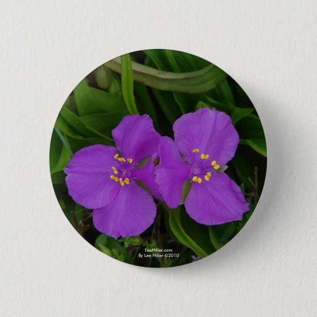 Wildflowers Fuchsia Spiderwort Hot Springs Gifts Pinback Button (Front)