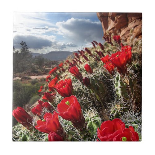 Wildflowers _ Grand Canyon _ Arizona Ceramic Tile